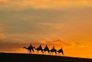 Марракеш: поездка на квадроциклах и верблюдах по пустыне Агафай с ужином и шоу