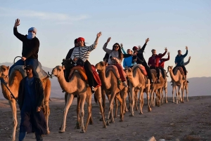 Марракеш: поездка на квадроциклах и верблюдах по пустыне Агафай с ужином и шоу