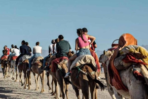 Марракеш: поездка на квадроциклах и верблюдах по пустыне Агафай с ужином и шоу