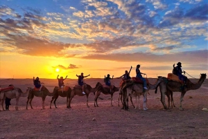 Marrakech: Agafay Desert Quad or Camel Ride with Dinner Show