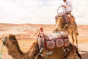 Marrakech: Agafay Desert Quad tai kameliretki illallisnäytöksellä.