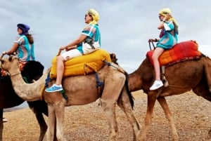 Marrakech: Agafay Wüstenquad oder Kameltour mit Dinner-Show