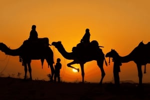 Marraquexe: Excursão de quadriciclo pelo deserto de Agafay com jantar e espetáculo