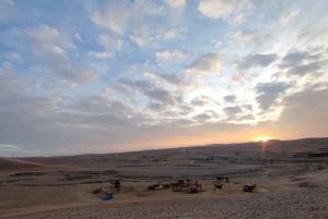 Marrakech: Paseo en camello por el desierto de Agafay al atardecer, cena y espectáculo
