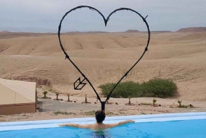 Marrakech: giro in cammello all'alba nel deserto di Agafay con colazione