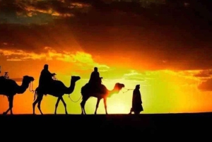 Marrakech: tramonto nel deserto di Agafay, giro in cammello, cena e spettacolo