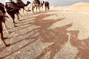 Marrakech: tramonto nel deserto di Agafay, giro in cammello, cena e spettacolo