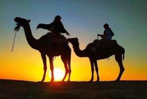 Marrakech: tramonto nel deserto di Agafay, giro in cammello, cena e spettacolo