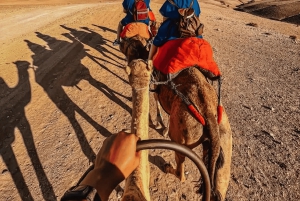 Marrakech: Agafay Desert Sunset Camel Ride with Dinner Show