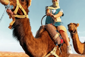 Marrakech: Agafay Desert Sunset Camel Ride with Dinner Show