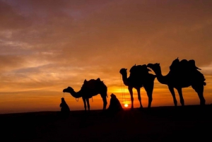 Marrakech: Solnedgang i Agafay-ørkenen, middag, musikk og ildshow