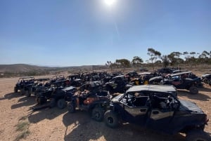 マラケシュ発：ラクダ＆バギー体験付きアガファイ砂漠ツアー（夕食ショー付き）