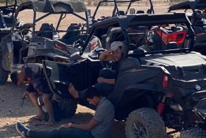 マラケシュ発：ラクダ＆バギー体験付きアガファイ砂漠ツアー（夕食ショー付き）