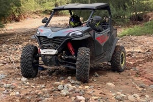 マラケシュ発：ラクダ＆バギー体験付きアガファイ砂漠ツアー（夕食ショー付き）