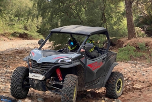 マラケシュ発：ラクダ＆バギー体験付きアガファイ砂漠ツアー（夕食ショー付き）