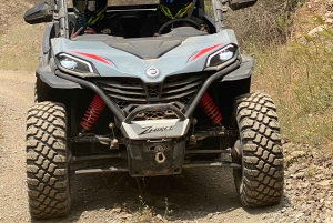 マラケシュ発：ラクダ＆バギー体験付きアガファイ砂漠ツアー（夕食ショー付き）