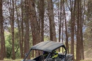 マラケシュ発：ラクダ＆バギー体験付きアガファイ砂漠ツアー（夕食ショー付き）