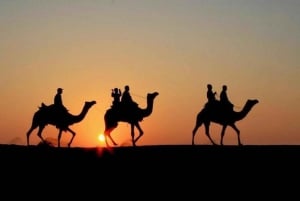 Marrakech: Excursão ao deserto de Agafay com jantar, passeio de camelo e show