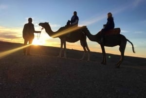 Marrakech: Tour del deserto di Agafay con cena, giro in cammello e spettacolo