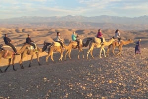 Marrakech Agafay Desert Tour With Dinner