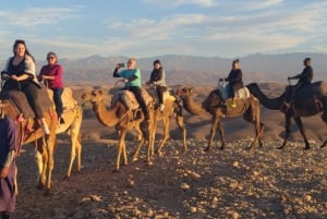 Marrakech Agafay Desert Tour With Dinner