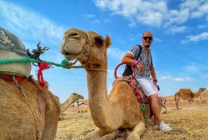 Marrakech: Agafay Desert Tour with Quad, Camel Ride & Dinner