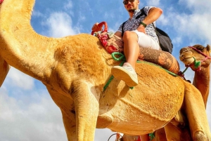 Marrakech: Agafay Desert Tour with Quad, Camel Ride & Dinner