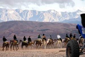 Marrakech: Agafay Desert Tour with Quad, Camel Ride & Dinner