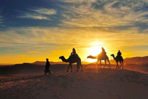 Marrakech : excursion dans le désert d'Agafay avec activités et dîner