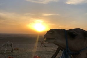Marrakech: Agafay Desert Trip with Camel Ride and Fire Show