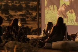 Marrakech-eventyr: Paragliding, kamelridning og morgenmad