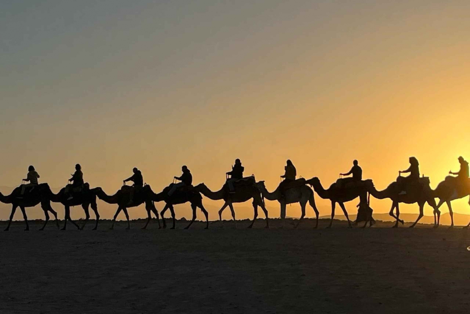 Marrakech: Agafay middagsshow med fyrhjulingstur eller kamel & pool