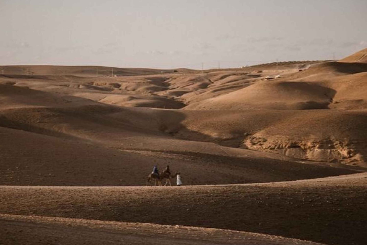 Marrakech: Agafay Ds solnedgang med middag, show og tuareg-musik