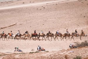 Marrakech: Puesta de sol en Agafay con cena, espectáculo y música tuareg