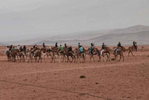 Marrakech: Puesta de sol en Agafay con cena, espectáculo y música tuareg