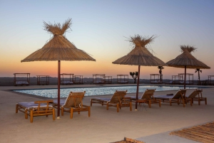 Marrakesh: Agafay luksus, firhjuling, kamel, basseng og middagsshow