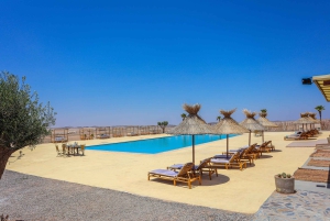 Marrakesh: Agafay luksus, firhjuling, kamel, basseng og middagsshow