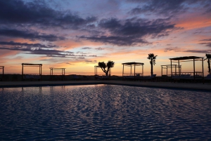 Marrakesh: Agafay luksus, firhjuling, kamel, basseng og middagsshow