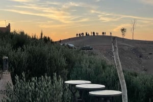 Marrakech : Agafay : Balade privée en Buggy & à chameau & un dîner étoilés