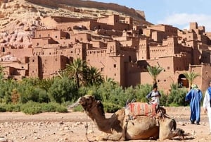Marrakech : Ait Ben Haddou & Telouat Vallei Privé Dagtrip