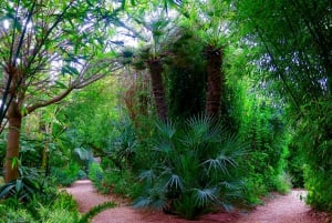 Marrakech: ingresso all'Anima Garden di André Heller