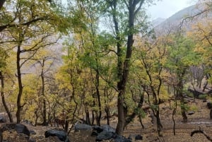 マラケシュ：アニマ ガーデンとアトラス山脈の 1 日ツアー