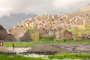 Marrakech: Anima Garden, safranfarm og tur til Ourika-dalen