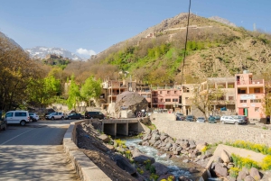 Marrakech: Anima Garden, safranfarm og tur til Ourika-dalen