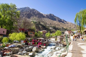 Marrakech: Anima Garden, safranfarm og tur til Ourika-dalen