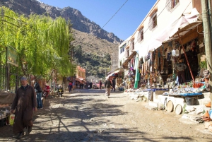 Marrakech: Anima Garden, safranfarm og tur til Ourika-dalen