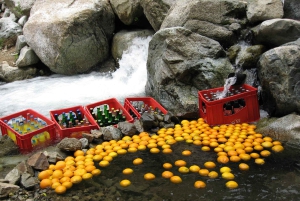 Marrakech: Anima Garden, safranfarm og tur til Ourika-dalen