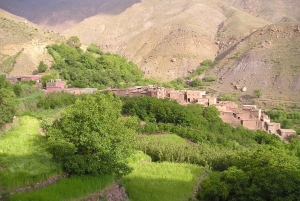 Марракеш: сад Анима, ферма шафрана и долина Урика