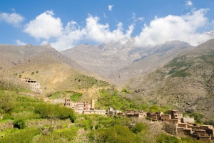 Марракеш: сад Анима, ферма шафрана и долина Урика