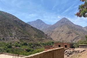 Marrakech :atlas 3 valley Berber villages and camel ride